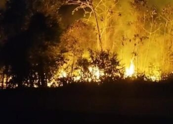 Incêndio de grandes proporções avança em área de mata em Maués
