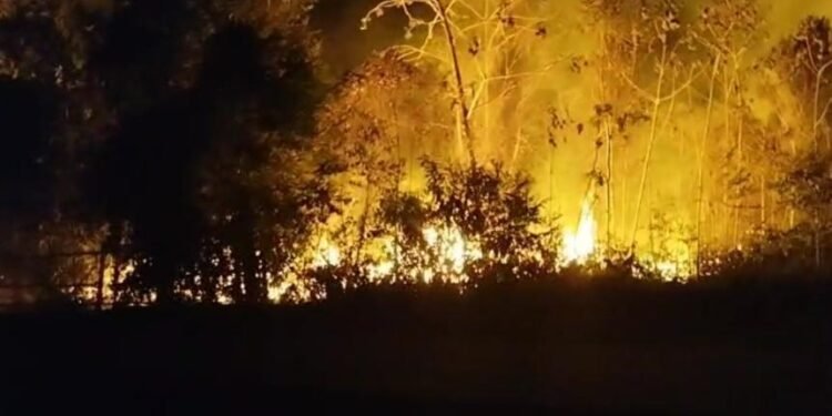 Incêndio de grandes proporções avança em área de mata em Maués