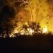 Incêndio de grandes proporções avança em área de mata em Maués
