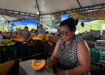 Calor de 37,6°C em Manaus muda rotina de feirantes e motoristas