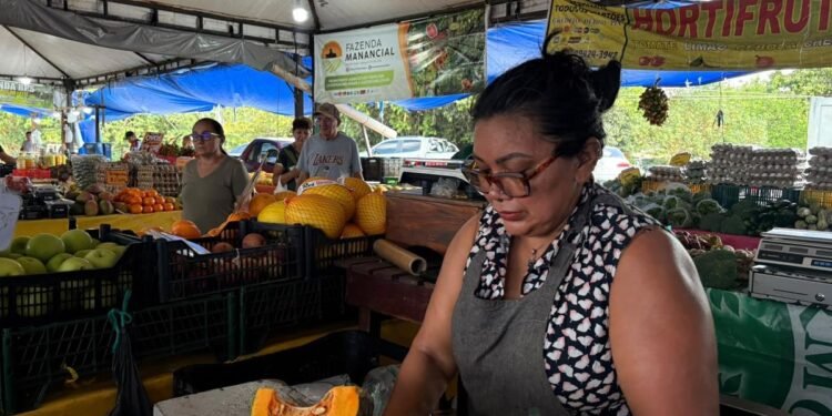 Calor de 37,6°C em Manaus muda rotina de feirantes e motoristas