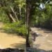 Praia artificial é apontada como causa de água barrenta no Rio Urubu