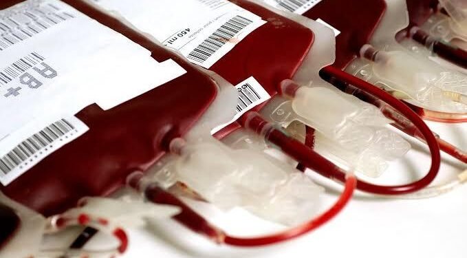 Hemoam arrecada metade da meta diária de doações de sangue