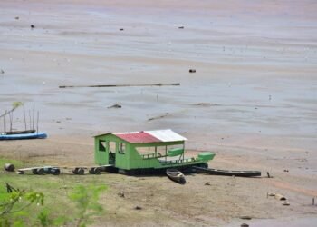 Rio Negro fica quase 4 metros abaixo do nível de 2025 em Manaus