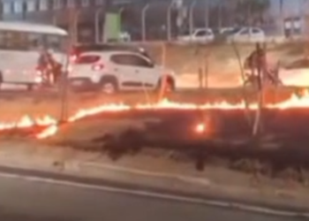 Incêndio atinge área de vegetação em avenida da zona norte de Manaus