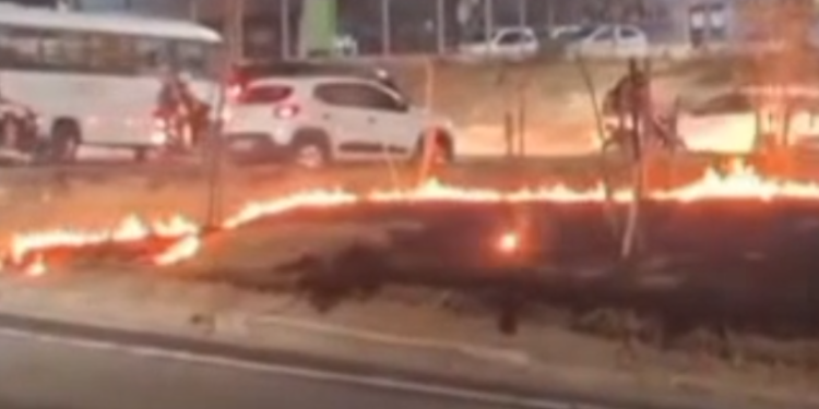 Incêndio atinge área de vegetação em avenida da zona norte de Manaus