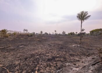 Fogo de 700 hectares na AM-070 é extinto em meio à fumaça no AM