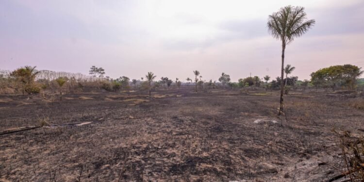Fogo de 700 hectares na AM-070 é extinto em meio à fumaça no AM