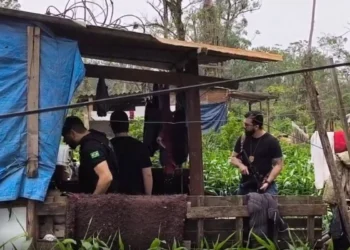 Menina de 2 anos é morta a golpes de martelo pelo irmão enquanto brincava