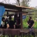 Menina de 2 anos é morta a golpes de martelo pelo irmão enquanto brincava