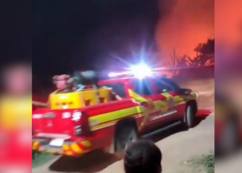 Fogo provocado por homens atinge área de mata e mobiliza Bombeiros em Maués