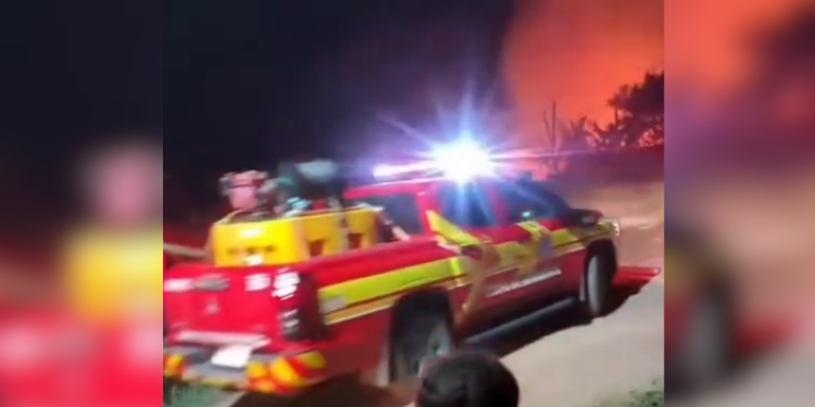 Fogo provocado por homens atinge área de mata e mobiliza Bombeiros em Maués