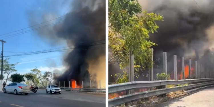 Incêndio toma conta de área de vegetação no São Raimundo