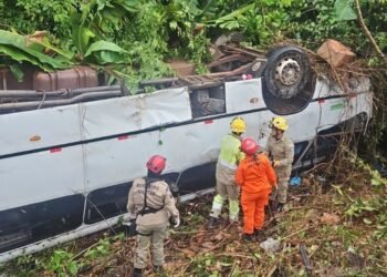 Quatro pessoas seguem sob avaliação médica após micro-ônibus cair em ribanceira na BR-174