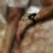 Detento do semiaberto é encontrado morto dentro de apartamento na zona Centro-Sul de Manaus