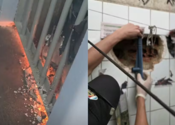 Presos ateiam fogo em delegacia no AM após polícia descobrir buraco em cela