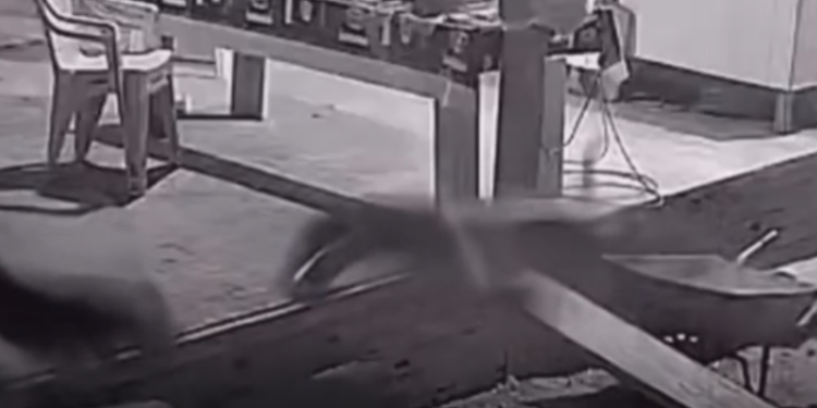 Onça invade propriedade rural e ataca dois cães no interior do Amazonas; vídeo