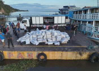 Quase 28 toneladas de pirarucu são apreendidas em Coari, no interior do Amazonas
