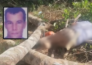 Trabalhador morre atingido por galhos em acidente com motosserra no AM