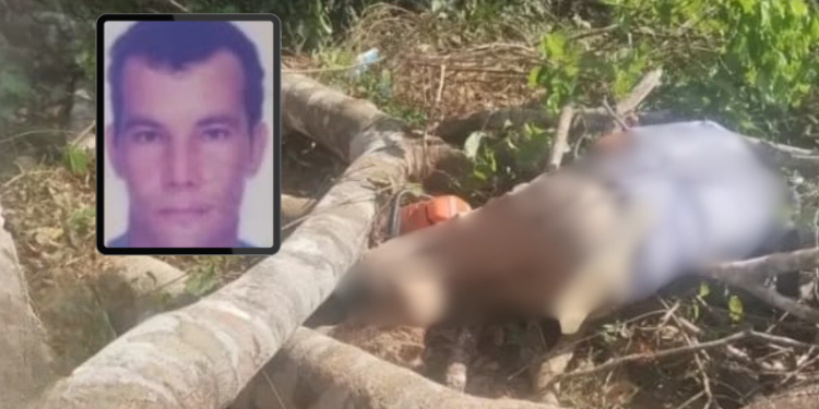 Trabalhador morre atingido por galhos em acidente com motosserra no AM