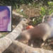 Trabalhador morre atingido por galhos em acidente com motosserra no AM