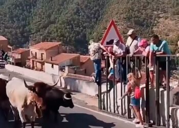 Turista morre após ser atingida por touro durante festa tradicional na Espanha; vídeo