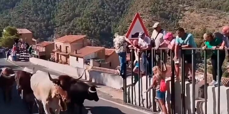 Turista morre após ser atingida por touro durante festa tradicional na Espanha; vídeo