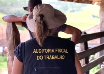 Operação resgata quase 500 trabalhadores em situação análoga à escravidão