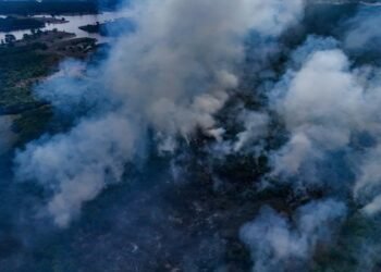 Fogo avança por mais de 200 hectares de floresta e assusta moradores de comunidades no Amazonas