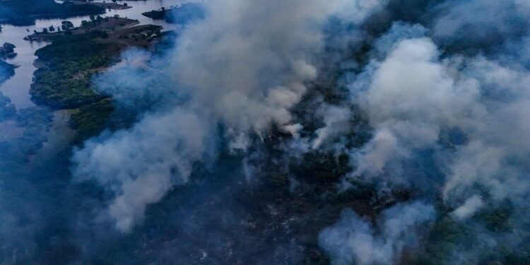 Fogo avança por mais de 200 hectares de floresta e assusta moradores de comunidades no Amazonas