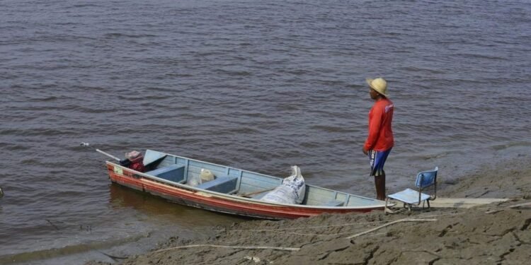Amazonas retoma plano climático após meses de atraso