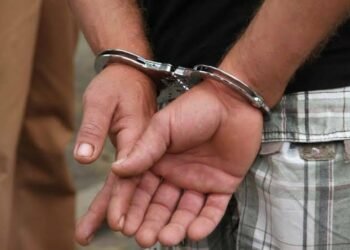 Filho é preso por furto e violência psicológica contra a própria mãe