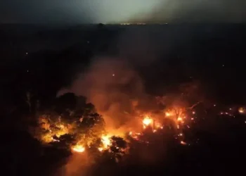 Força-tarefa abre 120 procedimentos e investiga incêndios criminosos no Amazonas