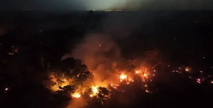 Força-tarefa abre 120 procedimentos e investiga incêndios criminosos no Amazonas