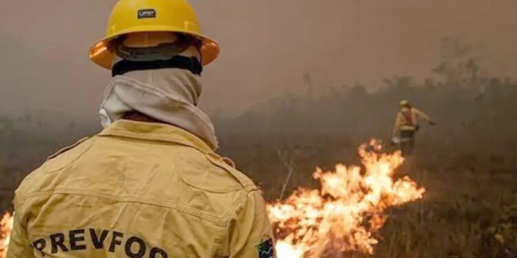 Ministério da Defesa envia equipamentos para combate às queimadas no AM