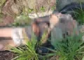 Homem suspeito de agredir duas crianças ‘leva sal’ de moradores do Grande Vitória, em Manaus