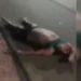 Homem tem crânio estraçalhado após ser atropelado por veículo no Amazonas