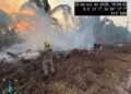 Bombeiros combatem incêndio em área de vegetação na AM-254