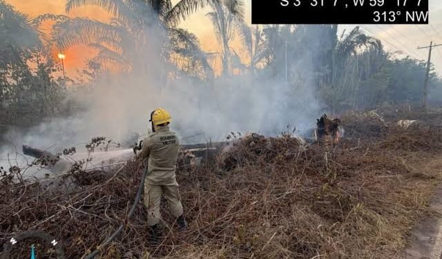 Bombeiros combatem incêndio em área de vegetação na AM-254