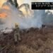 Bombeiros combatem incêndio em área de vegetação na AM-254