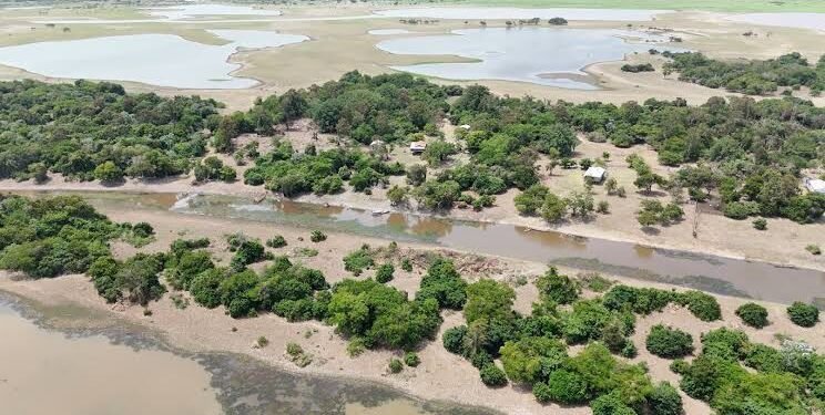 Santarém decreta situação de emergência por causa da estiagem