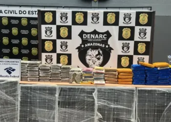 Carga de maconha avaliada em R$ 3 milhões é apreendida em Manaus