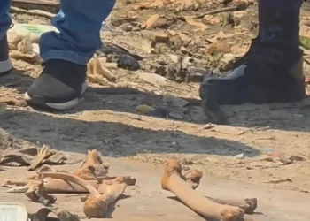 Novas partes de ossada humana são encontradas perto da Feira da Banana em Manaus