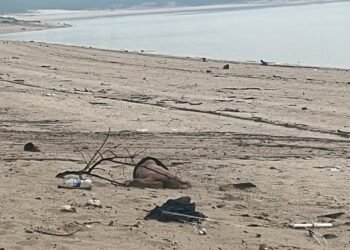 Corpo de homem é encontrado na praia da Ponta Negra