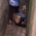 Homem é torturado e executado a tiros em beco do bairro Compensa