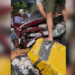 Batida contra barreira de concreto deixa carro destruído na Avenida Coronel Teixeira