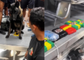 Cão farejador acha cocaína de R$ 700 mil escondida em barco no AM