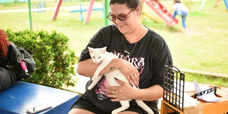 Castração gratuita de pets continua no bairro São José em novembro; confira