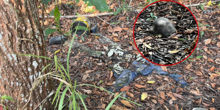 Corpo em estado de decomposição é encontrado na Ponta Negra