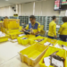 Comprou no AliExpress? Parceria com Correios promete acelerar entregas